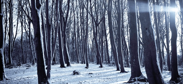 Staying active in the winter Staying active in the winter