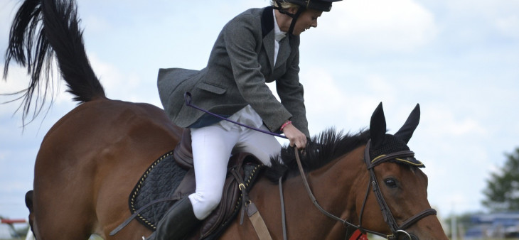 Horse rider Horse rider